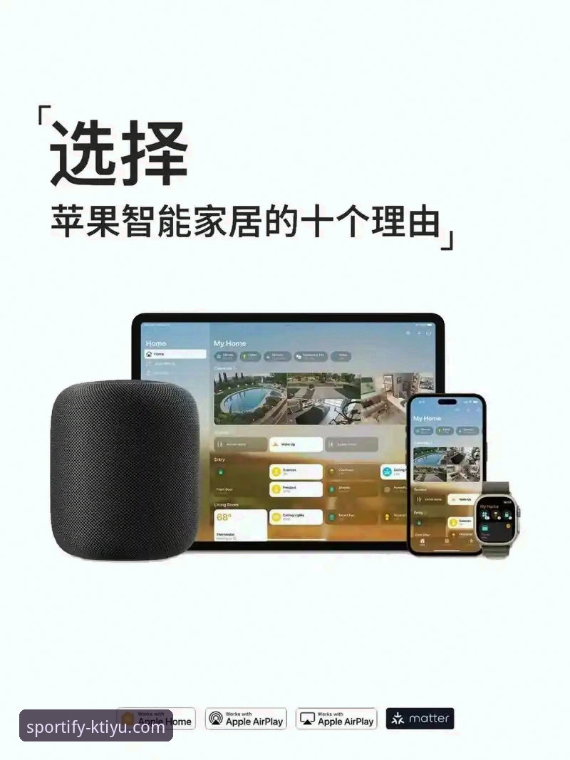 K体育直播使用教程：从下载到畅享高清赛事的完整指南